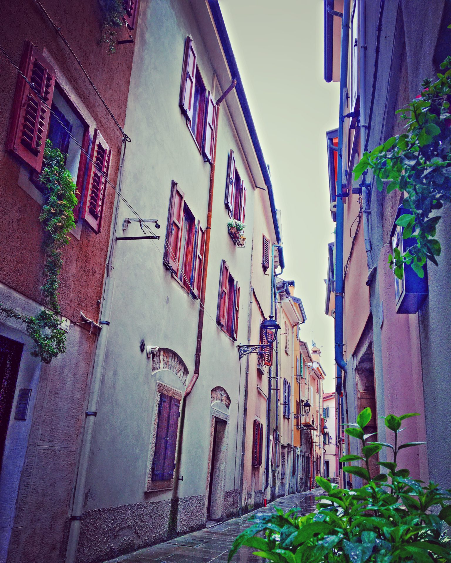 Settembre nell'Ambito Carso Giuliano - Calle di Muggia